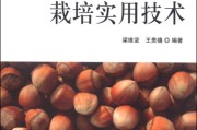 咋把这“铁疙瘩”伺候成“金疙瘩”？咱老百姓自己的榛子种植经