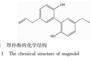 固体分散技术英语掌握秘籍，轻松应对国际交流