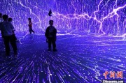 光影交织的智能之美：AI艺术新体验