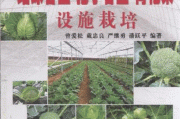从高山到平原：结球甘蓝栽培的智慧与细节