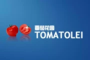 盗版Windows的隐秘战争：雨林木风、深度技术如何掏空系统并扼杀国产曙光？