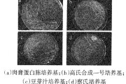 从实验室到生产线：生物预处理技术的破局之路