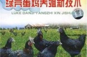 养蛋鸡的技术宝典：从入门到精通