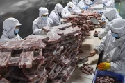 液氮隧道速冻：瞬间锁鲜，引爆肉类“细胞级”保鲜革命！