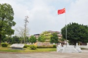 佛山技术职业学院：制造业名城的技能摇篮，家门口的高质量就业直通车